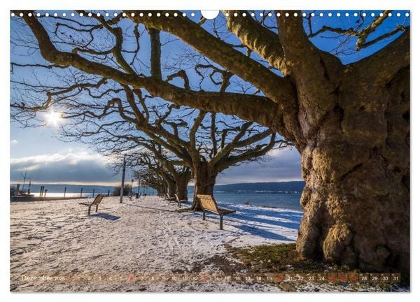 Produktbild: Farbenfroh Bodensee (Wandkalender 2026 DIN A3 quer), CALVENDO Monatskalender