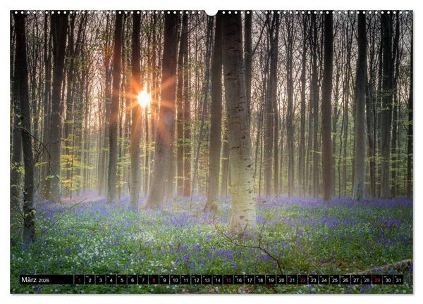 Produktbild: Ein neuer Tag beginnt (Wandkalender 2026 DIN A2 quer), CALVENDO Monatskalender