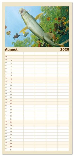 Produktbild: Familienplaner 2026 - Forelle, Hecht und St&ouml;r: Fische in europ&auml;ischen Gew&auml;ssern mit 5 Spalten (Wandkalender, 21 x 45 cm) CALVENDO