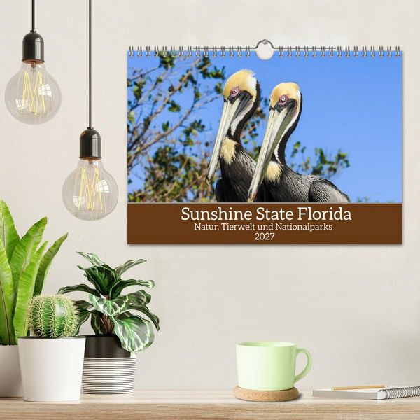 Produktbild: Sunshine State Florida Natur, Tierwelt und Nationalparks (Wandkalender 2027 DIN A4 quer), CALVENDO Monatskalender