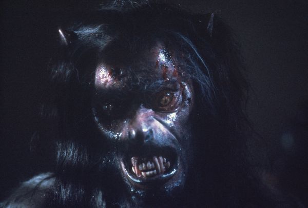 Produktbild: The Howling - Das Tier - Digital Remastered in 4K