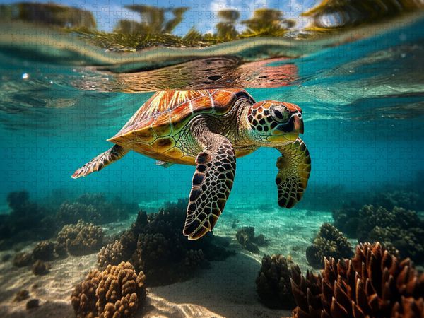 Produktbild: CALVENDO Puzzle Meeresschildkr&ouml;te unter Wasser | 1000 Teile Lege-Gr&ouml;&szlig;e 64x48cm Foto-Puzzle f&uuml;r gl&uuml;ckliche Stunden