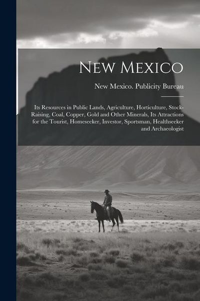 Produktbild: New Mexico