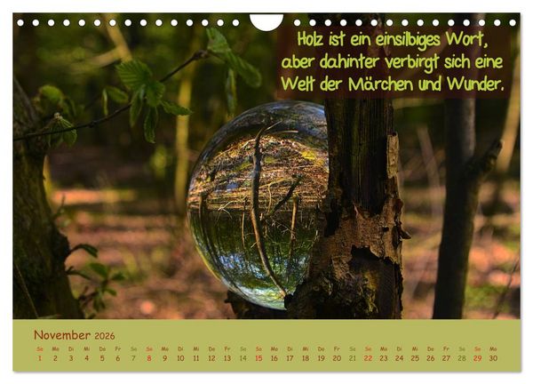 Produktbild: Wunderbare Waldkugeln (Wandkalender 2026 DIN A4 quer), CALVENDO Monatskalender