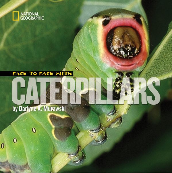 Produktbild: Face to Face with Caterpillars