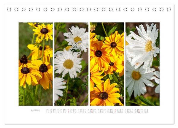Produktbild: Gartenfreude (Tischkalender 2026 DIN A5 quer), CALVENDO Monatskalender