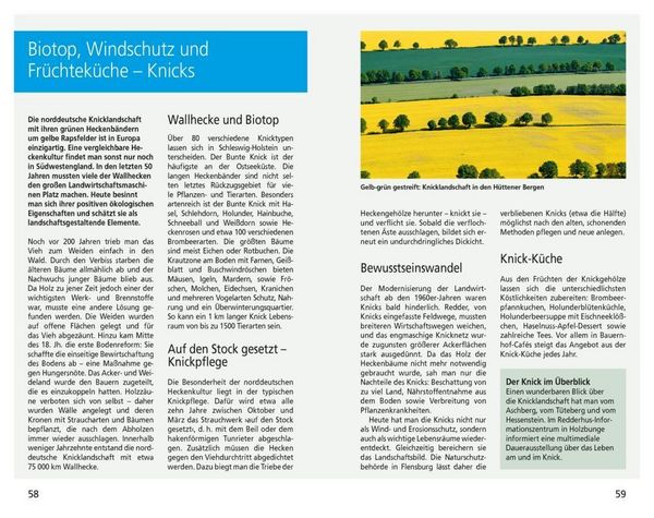 Produktbild: DuMont Reise-Taschenbuch Reisef&uuml;hrer Ostseek&uuml;ste Schleswig-Holstein