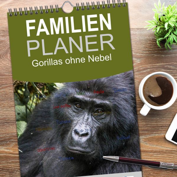 Produktbild: Familienplaner 2026 - Gorillas ohne Nebel mit 5 Spalten (Wandkalender, 21 x 45 cm) CALVENDO