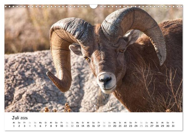 Produktbild: Amerika - Natursch&ouml;nheiten des Westens (Wandkalender 2026 DIN A3 quer), CALVENDO Monatskalender