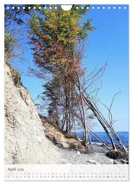 Produktbild: Im Nationalpark Jasmund - Naturwunder auf der Ostseeinsel R&uuml;gen (Wandkalender 2026 DIN A4 hoch), CALVENDO Monatskalender