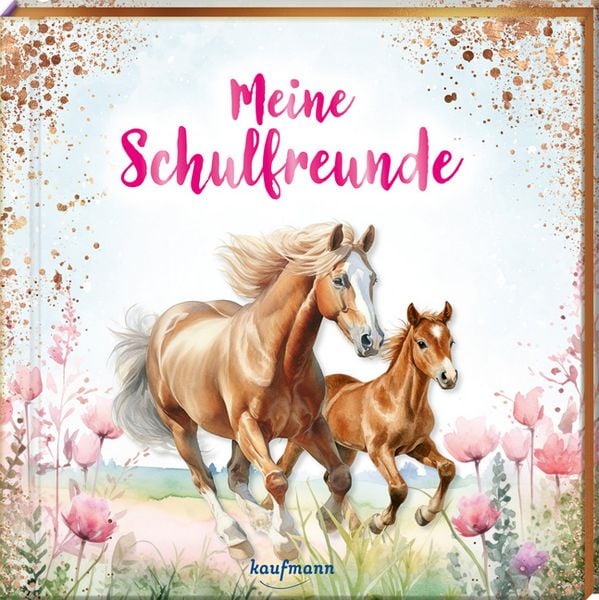 Produktbild: Meine Schulfreunde