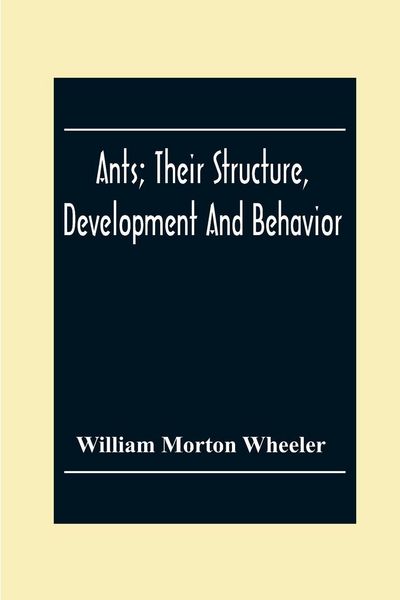 Produktbild: Ants; Their Structure, Development And Behavior