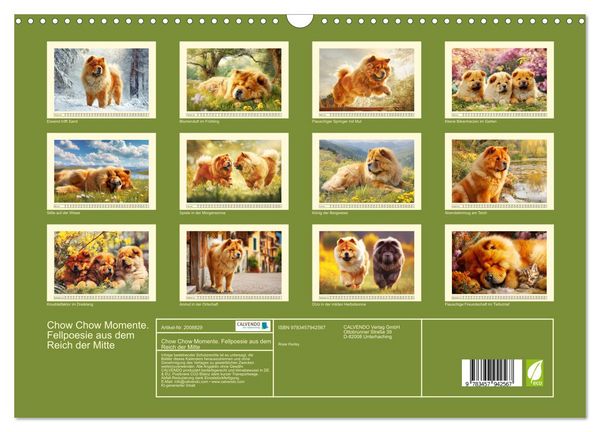 Produktbild: Chow Chow Momente. Fellpoesie aus dem Reich der Mitte (Wandkalender 2026 DIN A3 quer), CALVENDO Monatskalender