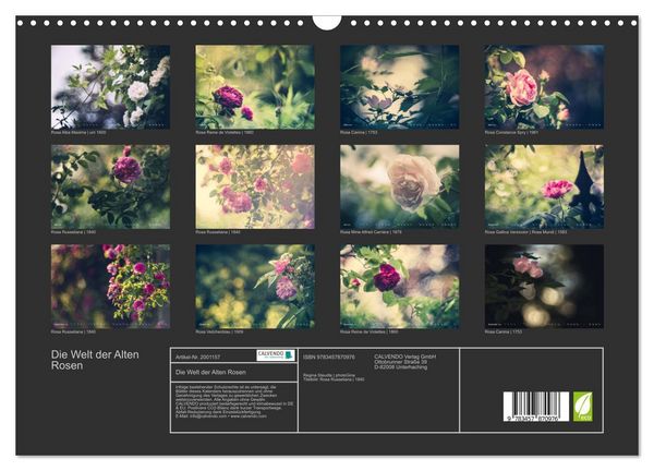 Produktbild: Die Welt der Alten Rosen (Wandkalender 2026 DIN A3 quer), CALVENDO Monatskalender