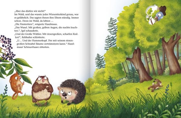 Produktbild: Oh Schreck! Wer hat sich hier versteckt?