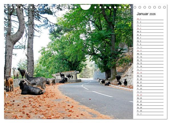 Produktbild: Wildromatisches Korsika (Wandkalender 2026 DIN A4 quer), CALVENDO Monatskalender
