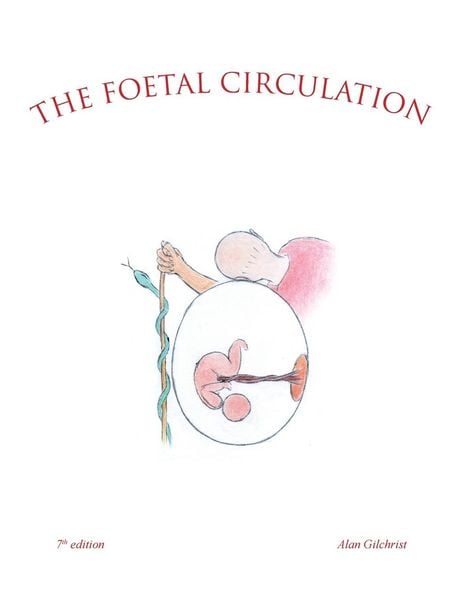 Produktbild: The Foetal Circulation