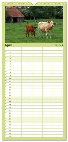 Produktbild: Familienplaner 2027 - Muuuhhh! mit 5 Spalten (Wandkalender, 21 x 45 cm) CALVENDO