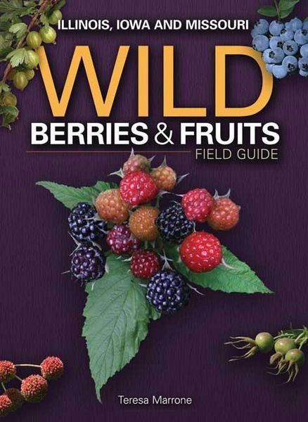 Produktbild: Wild Berries & Fruits Field Guide of Illinois, Iowa and Missouri