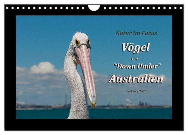 Produktbild: V&ouml;gel von "Down Under" Australien (Wandkalender 2027 DIN A4 quer), CALVENDO Monatskalender