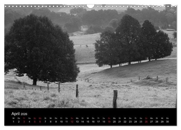 Produktbild: B&auml;ume trees 2026 (Wandkalender 2026 DIN A3 quer), CALVENDO Monatskalender