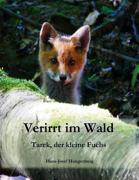 Produktbild: Verirrt im Wald