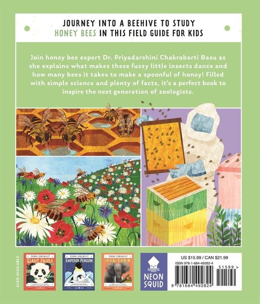 Produktbild: Honey Bee (Young Zoologist)