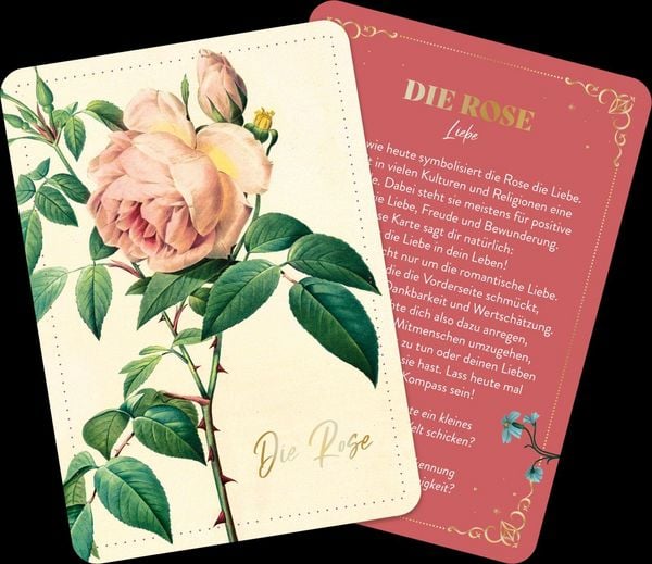Produktbild: Die geheimnisvolle Sprache der Blumen &ndash; 50 Orakelkarten f&uuml;r das ganze Jahr