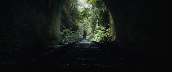 Produktbild: Planet der Affen - New Kingdom (4K Ultra HD) (+ Blu-ray)