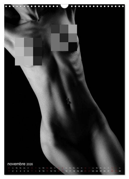 Produktbild: Apparat lumineux (Calendrier mural 2026 DIN A3 horizontal), CALVENDO calendrier mensuel