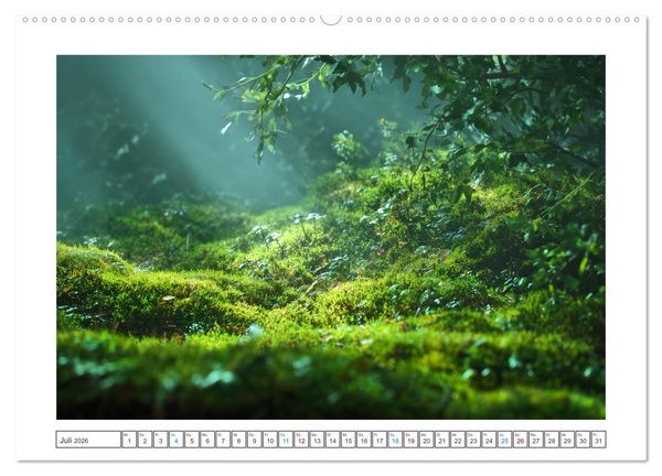 Produktbild: Magie der Jahreszeiten (hochwertiger Premium Wandkalender 2026 DIN A2 quer), Kunstdruck in Hochglanz