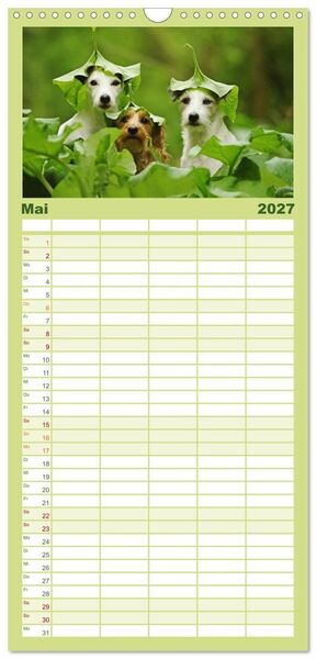 Produktbild: Familienplaner 2027 - Die Parson-Russell-Terrier...mit neuen Abenteuern aus der Hundeknipserei mit 5 Spalten (Wandkalender, 21 x 45 cm) CALVENDO