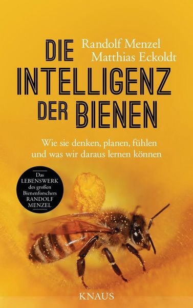 Produktbild: Die Intelligenz der Bienen