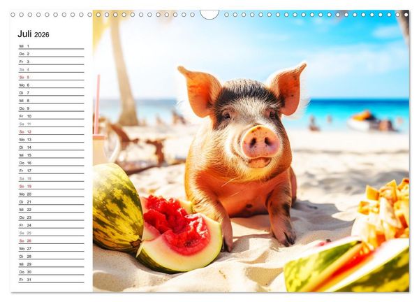 Produktbild: Schweinereien in der Karibik. Sonne und Spa&szlig; mit schwimmenden Schweinen (Wandkalender 2026 DIN A3 quer), CALVENDO Monatskalender