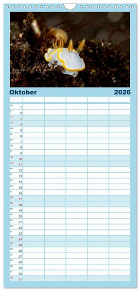 Produktbild: Familienplaner 2026 - Nudis &ndash; Die bunte Welt der Nacktschnecken mit 5 Spalten (Wandkalender, 21 x 45 cm) CALVENDO