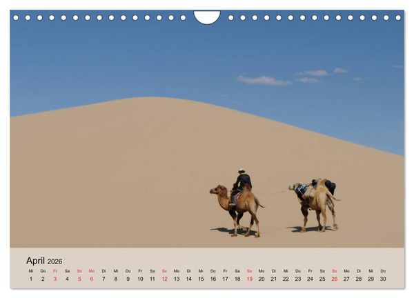 Produktbild: Kamele in der W&uuml;stensonne (Wandkalender 2026 DIN A4 quer), CALVENDO Monatskalender