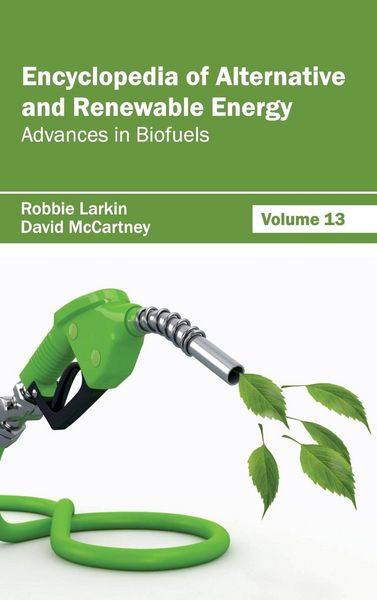Produktbild: Encyclopedia of Alternative and Renewable Energy