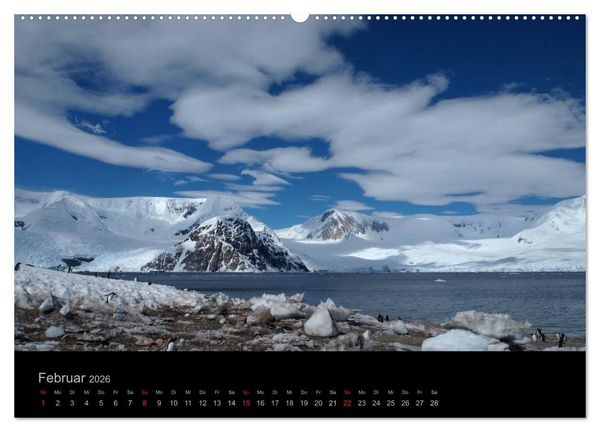 Produktbild: Antarktische Impressionen (Wandkalender 2026 DIN A2 quer), CALVENDO Monatskalender