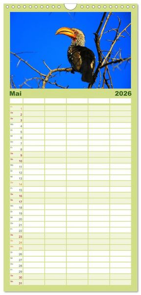 Produktbild: Familienplaner 2026 - Botswana- Pirschfahrt mit Garantie auf Wildlife mit 5 Spalten (Wandkalender, 21 x 45 cm) CALVENDO
