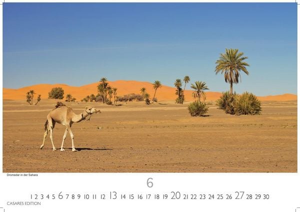 Produktbild: Tunesien Kalender 2027 &ndash; Wandkalender | Fotokalender Afrika 35x50 cm: Hochwertige Fotos, die die Kultur, Landschaften und Sehensw&uuml;rdigkeiten Tunesiens zeigen.