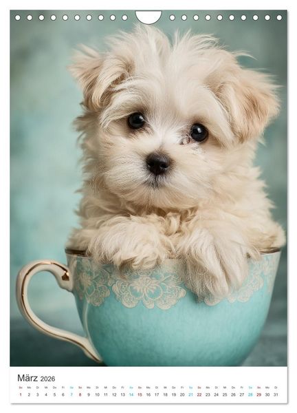 Produktbild: Best Friends Forever (Wandkalender 2026 DIN A4 hoch), CALVENDO Monatskalender