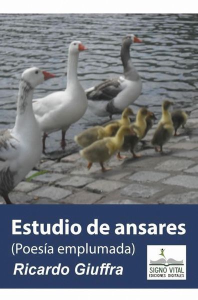 Produktbild: Estudio de Ansares