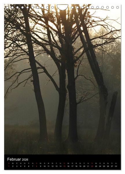 Produktbild: Wunderbarer Spreewald (Wandkalender 2026 DIN A4 hoch), CALVENDO Monatskalender