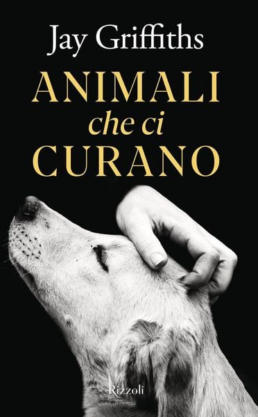 Produktbild: Animali che ci curano