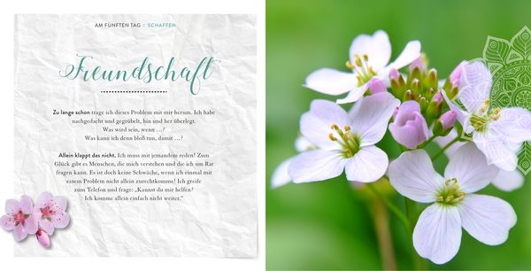 Produktbild: Sieben Tage Harmonie