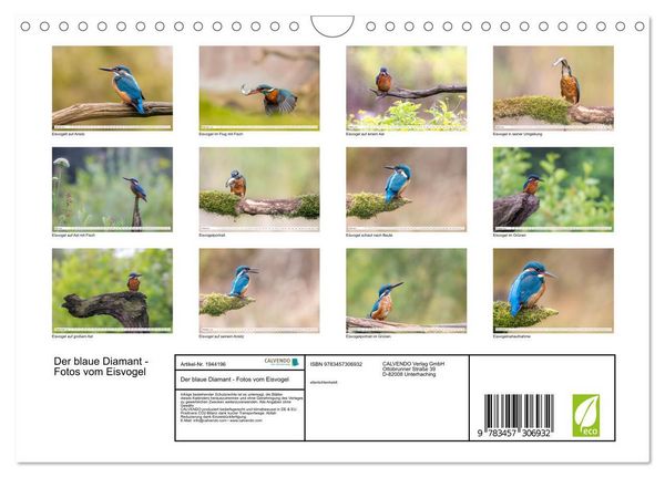 Produktbild: Der blaue Diamant - Fotos vom Eisvogel (Wandkalender 2026 DIN A4 quer), CALVENDO Monatskalender
