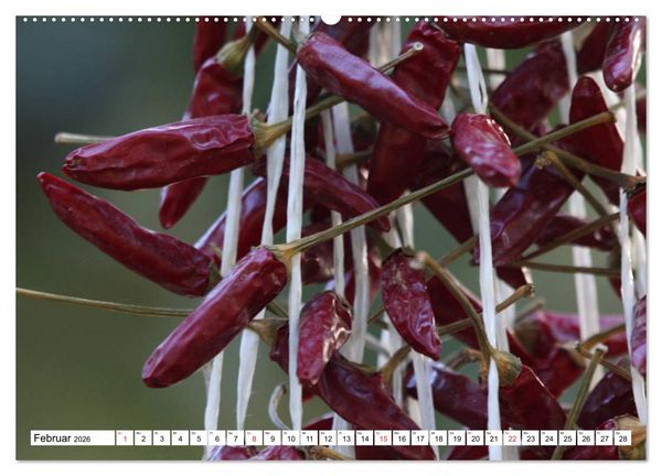 Produktbild: F&uuml;r Chili Liebhaber (hochwertiger Premium Wandkalender 2026 DIN A2 quer), Kunstdruck in Hochglanz