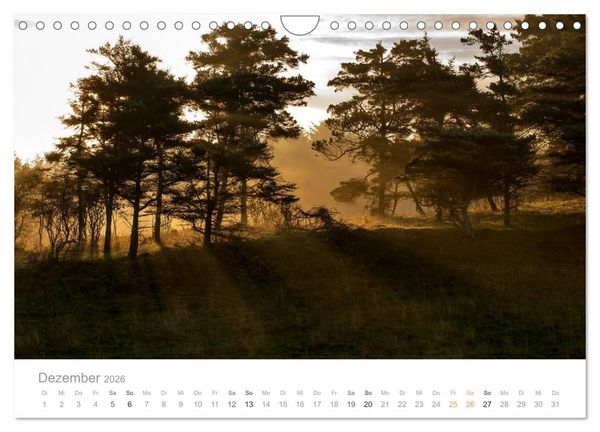 Produktbild: Traumziel D&auml;nemark (Wandkalender 2026 DIN A4 quer), CALVENDO Monatskalender