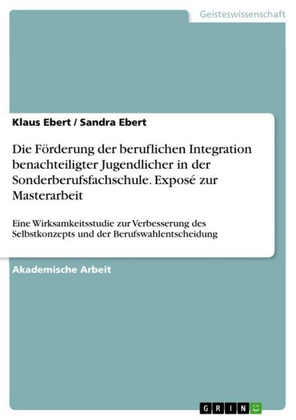 Produktbild: Die F&ouml;rderung der beruflichen Integration benachteiligter Jugendlicher in der Sonderberufsfachschule. Expos&eacute; zur Masterarbeit