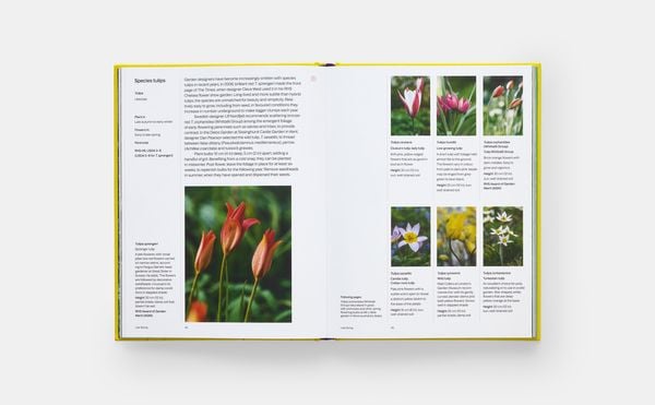 Produktbild: A Year in Bloom